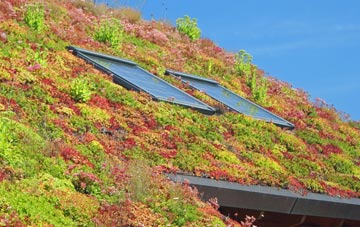 Skelmanthorpe living roof systems