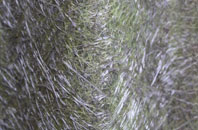 Skelmanthorpe fibreglass roof work